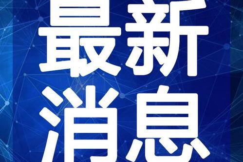 深圳吃饭爆料视频最新版,最新爆料视频带你领略地道的街头美味