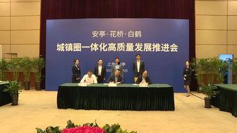 嘉定新闻爆料网站最新,揭秘最新爆料背后的真相与影响