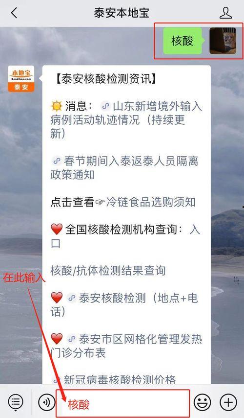 泰安核酸爆料最新消息,最新进展揭示疫情真相